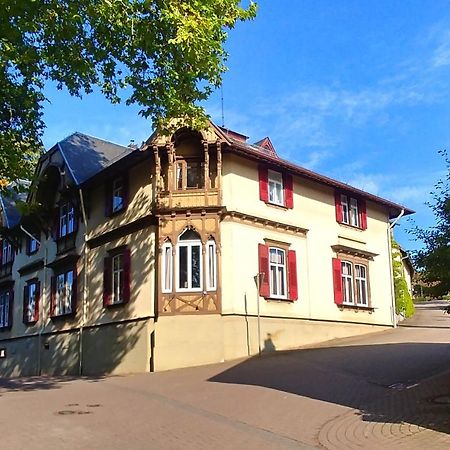 Privathotel Der Schwarze Herrgott No Tv Zellertal Екстериор снимка