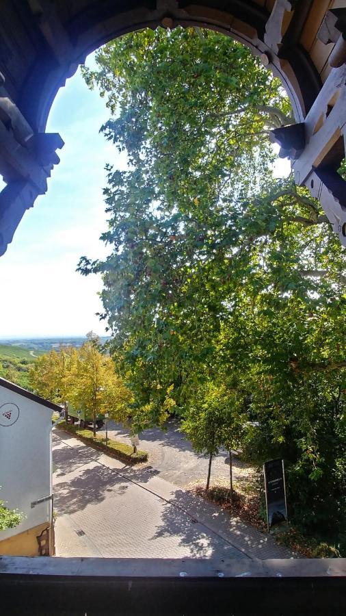 Privathotel Der Schwarze Herrgott No Tv Zellertal Екстериор снимка